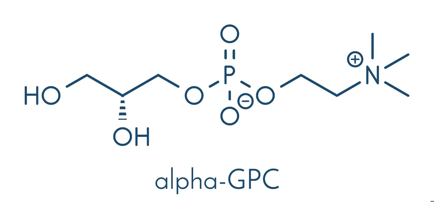 Alpha GPC 1kg - Y0829