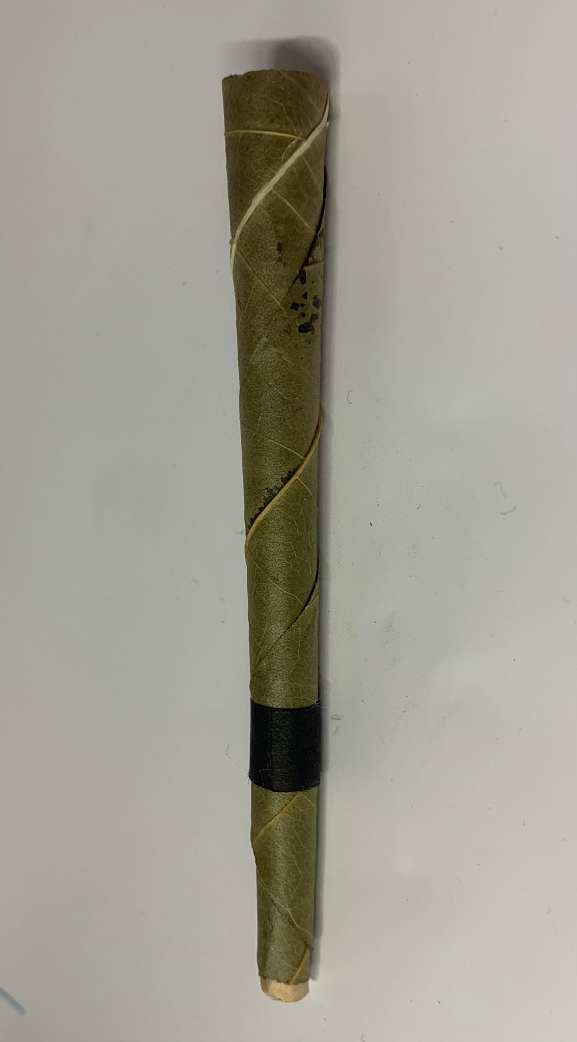 Pre-Rolled Cordia Cone - Y0295