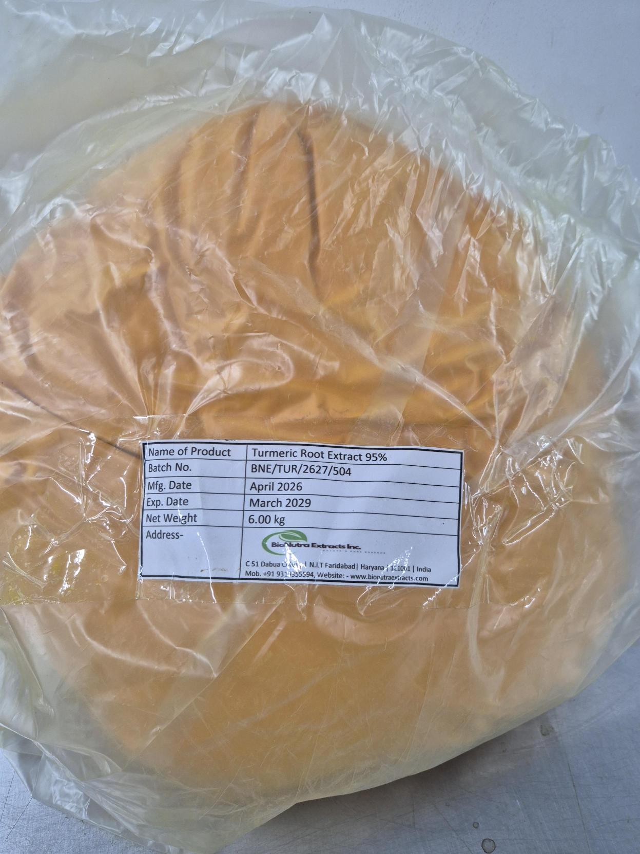 Turmeric Root Extract 95% - Y0985